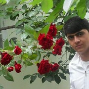 ���������� �����������, ���� ������� ����, 31 ���, ������������ ��� ������, ����� � ���������