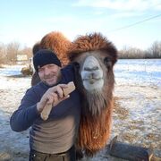 ���������� ������, ���� ������� �������, 46 ���, ������������ ��� ������, ����� � ���������