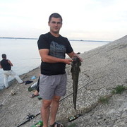 ���������� �������-����������, ������� ����, 41