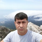 ���������� ������, ���� ������� Habibi, 40 ���, ������������ ��� ������, ����� � ���������