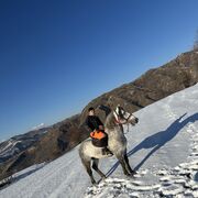 ���������� ������, ���� ����� �������, 25 ���, ������������ ��� ������, ����� � ���������