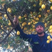 ���������� ����, ���� ������� Mais, 52 ����, ������������ ��� ������, ����� � ���������, c�������� ���������