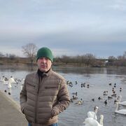 ���������� �����, ���� ������� ���������, 40 ���, ������������ ��� ����� � ���������, c�������� ���������