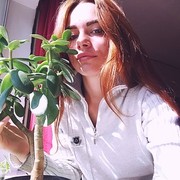 ���������� ���������, ���� ������� �����, 26 ���, ������������ 