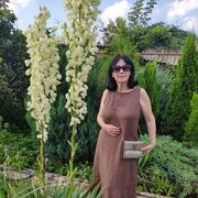 --,   , 63 ,   ,   , c 