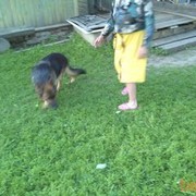  ,   , 46 ,   ,   , c 