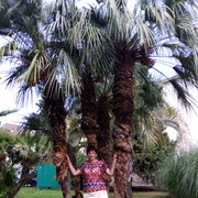  ,   , 56 ,   ,   , c 