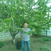 ���������� ���������, ���� ������� ��������, 62 ����, ������������ ��� ������, ����� � ���������, c�������� ���������