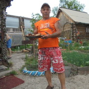 ���������� ����������, ���� ������� Chiba555, 60 ���, ������������ ��� ������