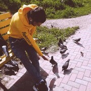 ���������� ������, ���� ������� ���, 33 ����, ������������ ��� ������, ����� � ���������