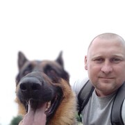  ,   , 41 ,   