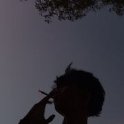  ,  , 20
