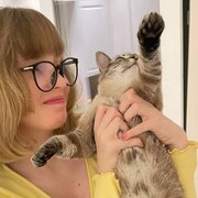 ���������� �����-���������, ���� ������� ����, 26 ���, ������������ ��� ������, ����� � ���������, c�������� ���������