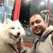  ,   , 36 ,   ,   