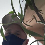 ���������� ������, ���� ������� DMITRI, 53 ����, ������������ ��� ������, ����� � ���������, c�������� ���������, ���������