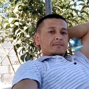 ���������� ������, ���� ������� �������, 36 ���, ������������ ��� ������, ����� � ���������, c�������� ���������