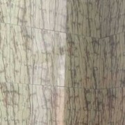  ,   , 35 ,   c 