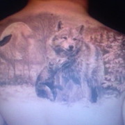 ���������� ������, ���� ������� ���������, 38 ���, ������������ ��� ������, ����� � ���������, c�������� ���������