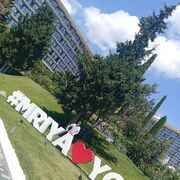  ,   , 31 ,   ,   , c 