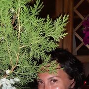  ,   , 43 ,   ,   
