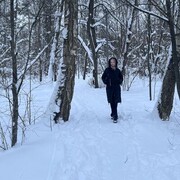 ���������� ������, ���� ������� �����, 37 ���, ������������ ��� c�������� ���������