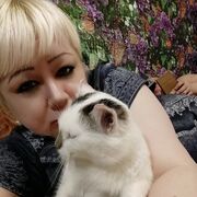 ,   , 50 ,     , c 