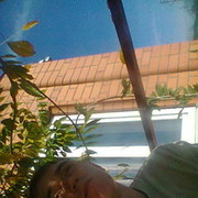  ,   , 31 ,   ,   , c 