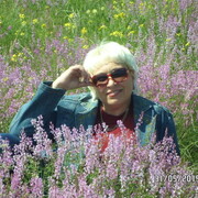 ���������� �������, ������� ����, 52