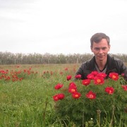 ���������� �������-����������, ������� �����, 49