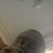  ,   , 41 ,     , c , 