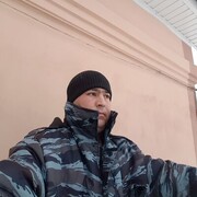  ,   DamiR, 37 ,   ,   , c , 