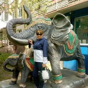 ���������� ���������, ���� ������� �������, 49 ���, ������������ ��� c�������� ���������