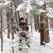 ���������� ������, ���� ������� �����, 28 ���, ������������ ��� ������, ����� � ���������