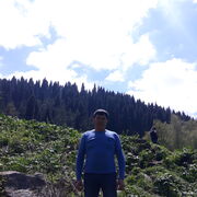  ,   , 37 ,   ,   