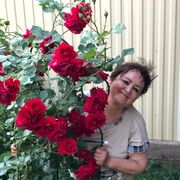  ,   , 64 ,   c , 