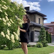 ���������� �����, ���� ������� �����, 21 ���, ������������ 