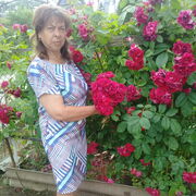 ���������� �������, ���� ������� ����, 56 ���, ������������ ��� ������, ����� � ���������