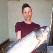 ���������� ������, ���� ������� �����, 38 ���, ������������ ��� ������, ����� � ���������, c�������� ���������, ���������