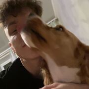  ,   HughJanus, 26 ,   