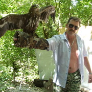 ,   , 53 ,   