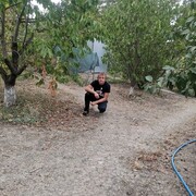 ���������� ������������, ���� ������� �������, 31 ���, ������������ ��� c�������� ���������