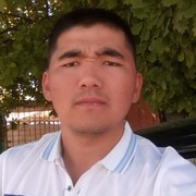 ���������� �����������, ���� ������� Dilbek, 35 ���, ������������ ��� ������, ����� � ���������, c�������� ���������, ���������