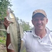 ���������� ��������, ���� ������� ���������, 39 ���, ������������ ��� ����� � ���������, c�������� ���������