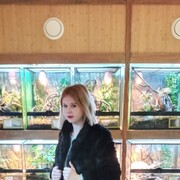 ���������� �����-���������, ���� ������� ���������, 28 ���, ������������ ��� ����� � ���������, c�������� ���������