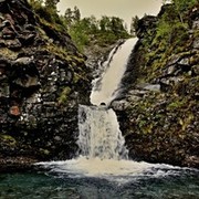 ���������� ����, ���� ������� �����, 39 ���, ������������ 