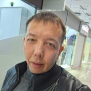  ,   Gotfree, 40 ,     , c 