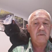  ,  , 65
