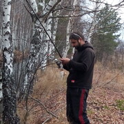 ���������� ������, ���� ������� �������, 40 ���, ������������ ��� ������, ����� � ���������, c�������� ���������