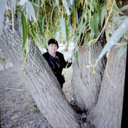  ,   , 64 ,   c 