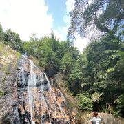 ���������� ������, ���� ������� �����, 33 ����, ������������ ��� ������, ����� � ���������